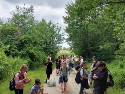 50695624211815167337762731126682980474641499n